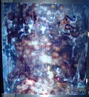 Tiffany glass sheet #16 in box #26